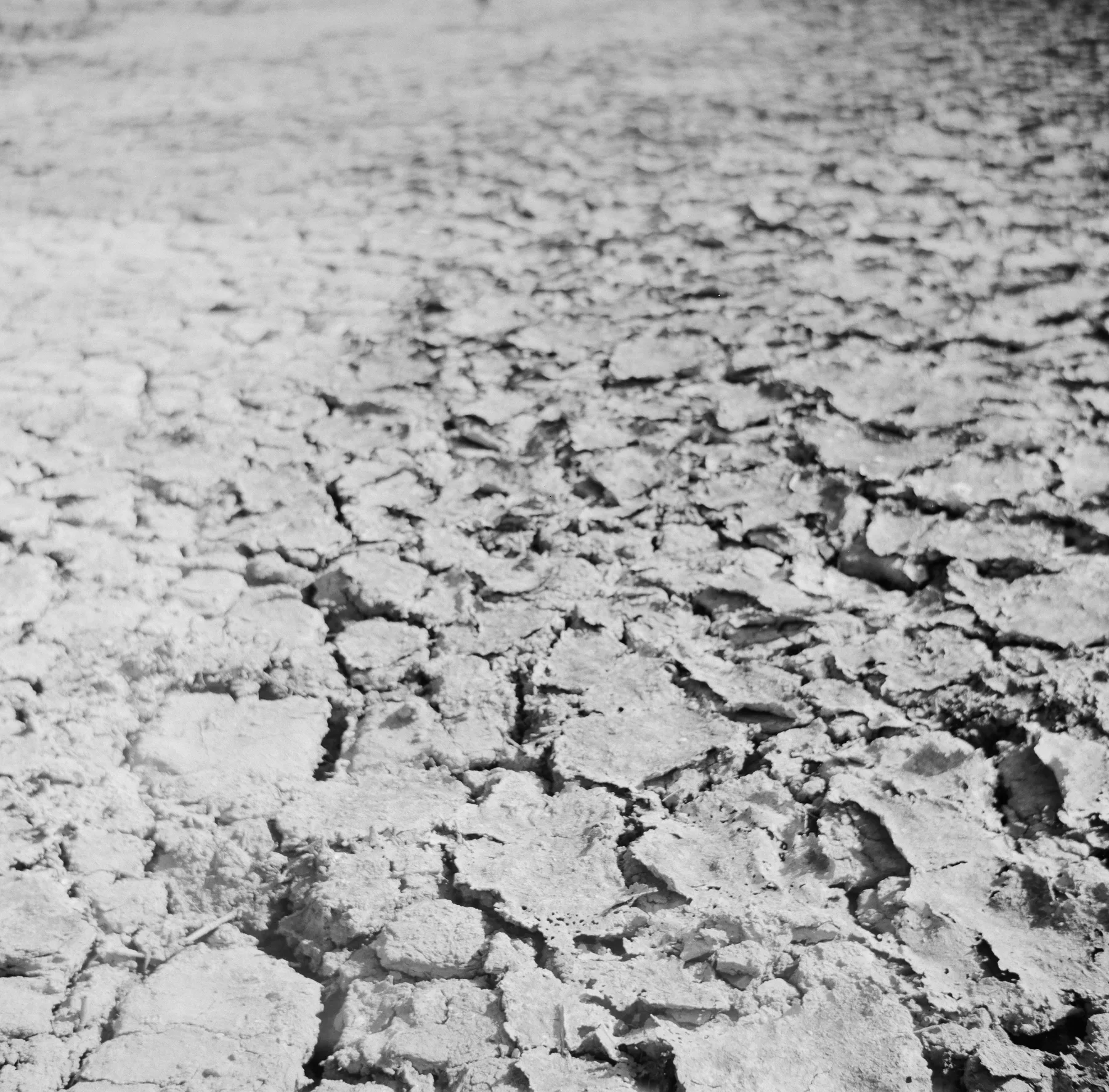 Broken clay II, AN.125.1