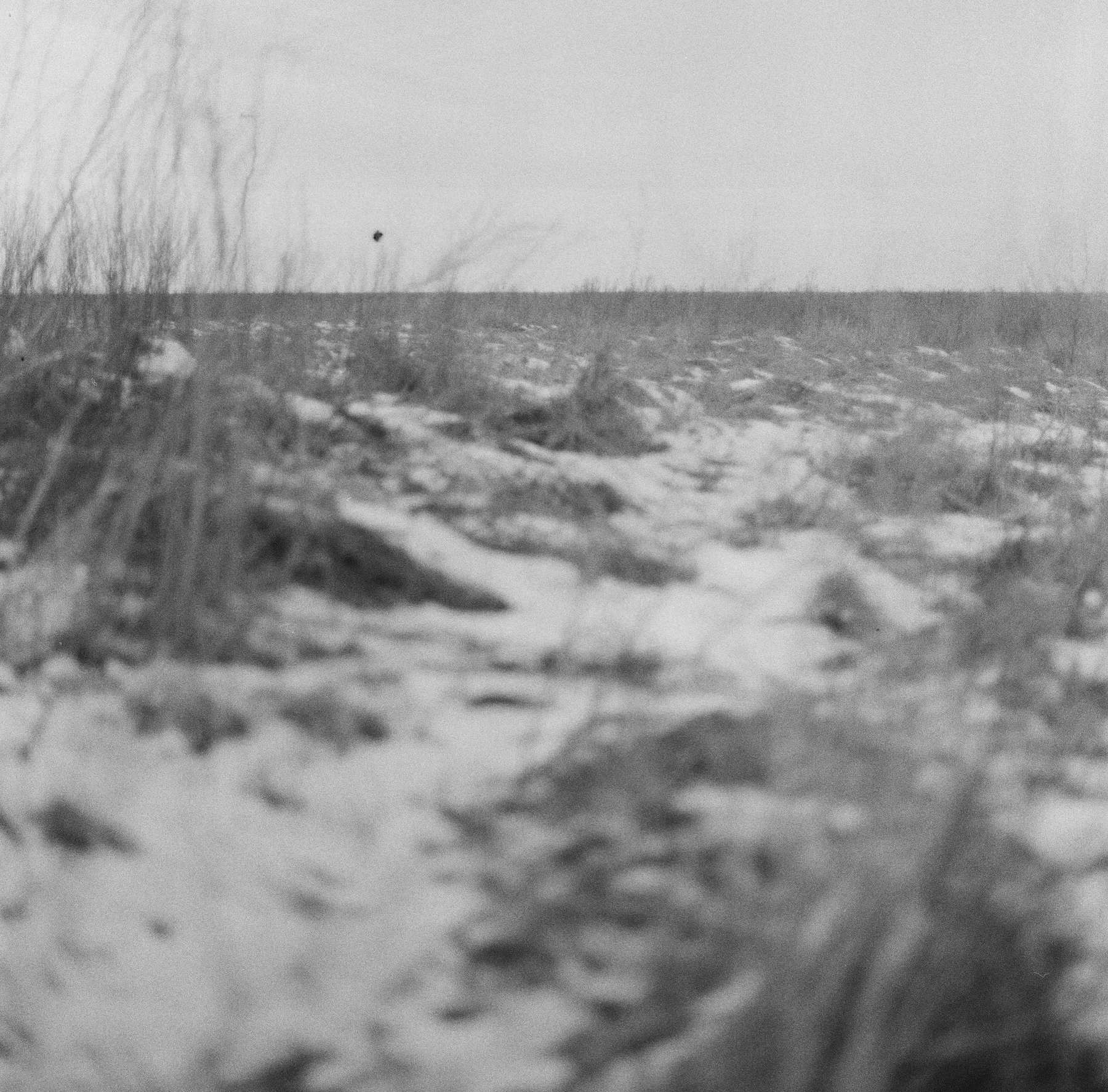 Sand path, AN.130.1