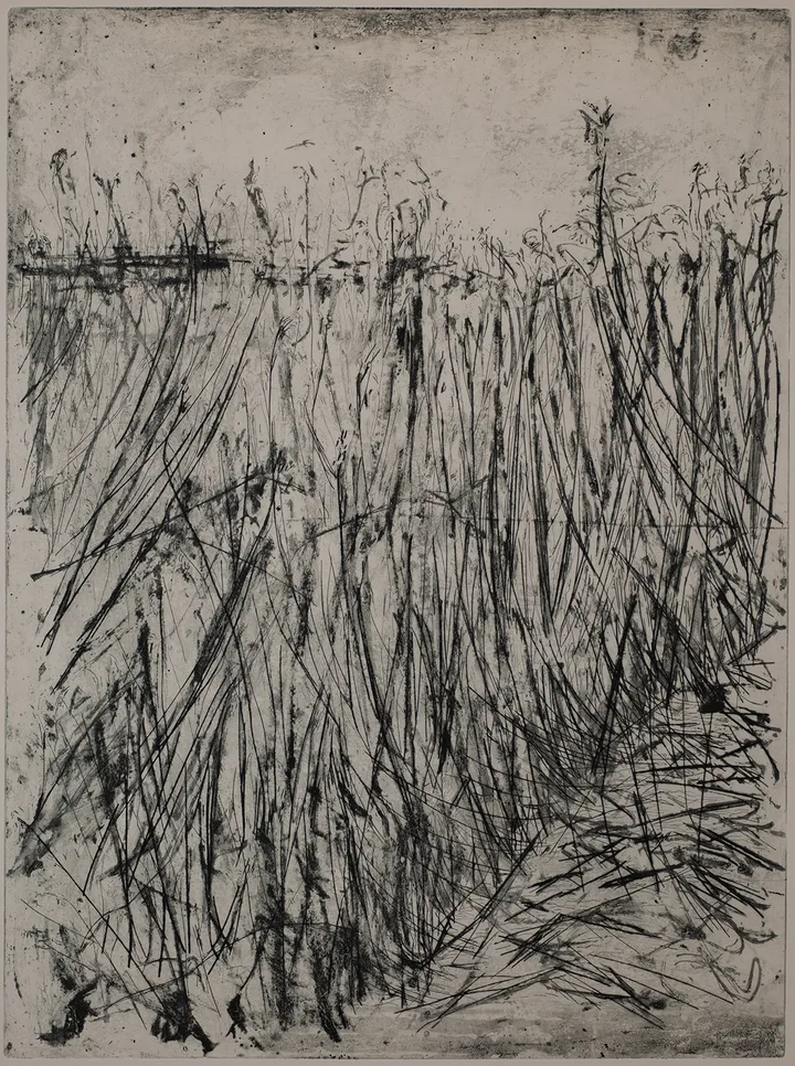 Reed, large — impression 3