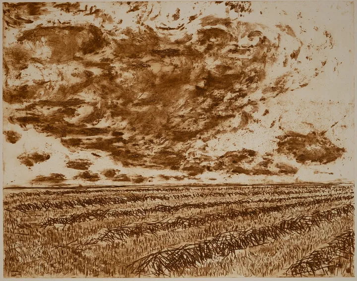 Grain, sky
