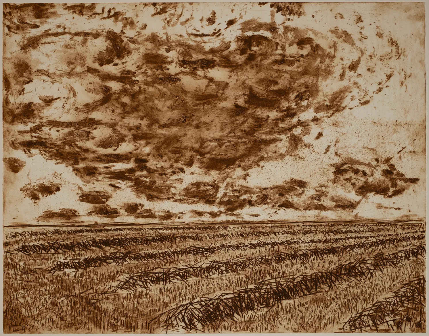Grain, sky, DC.2.2