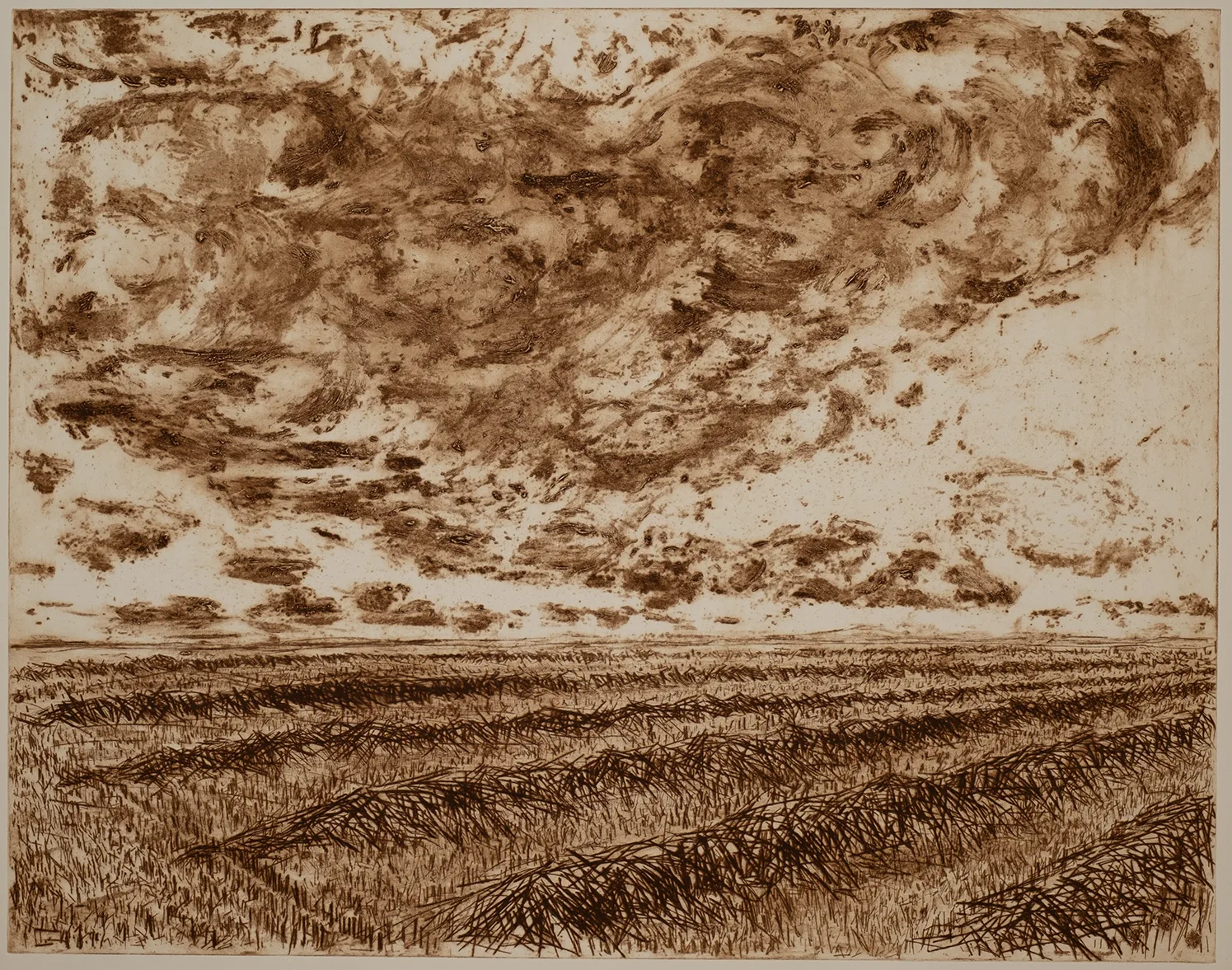 Grain, sky, DC.2.4