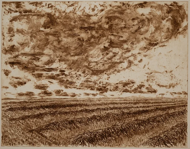Grain, sky — impression 4