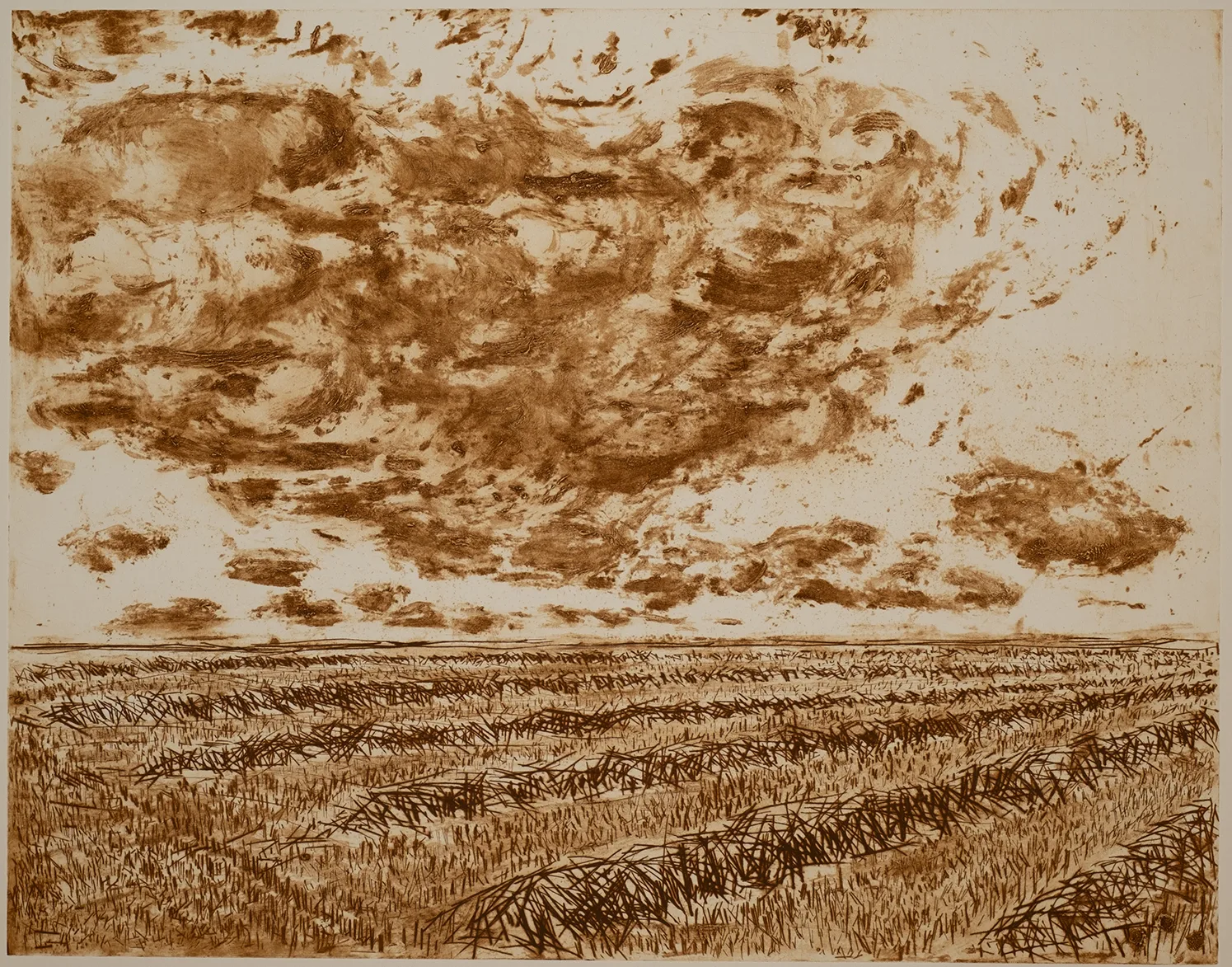 Grain, sky, DC.2.5