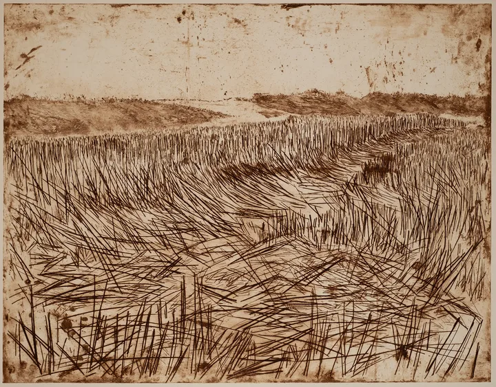 Dike with grain