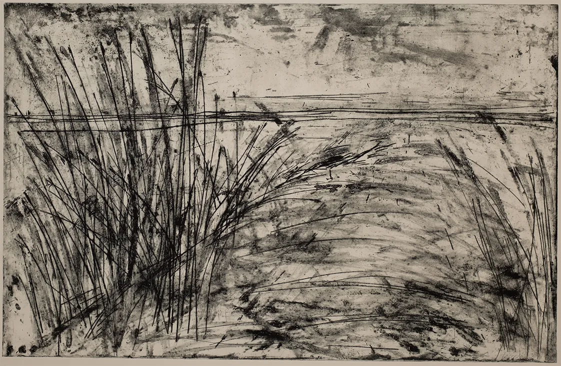 Grass, DC.3.1