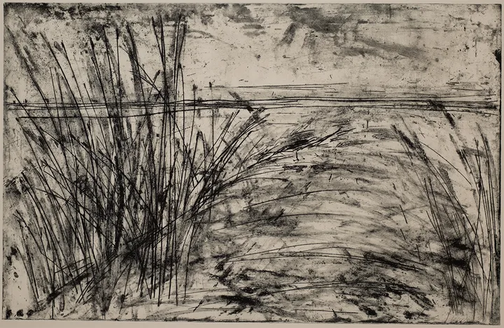 Grass, 2010