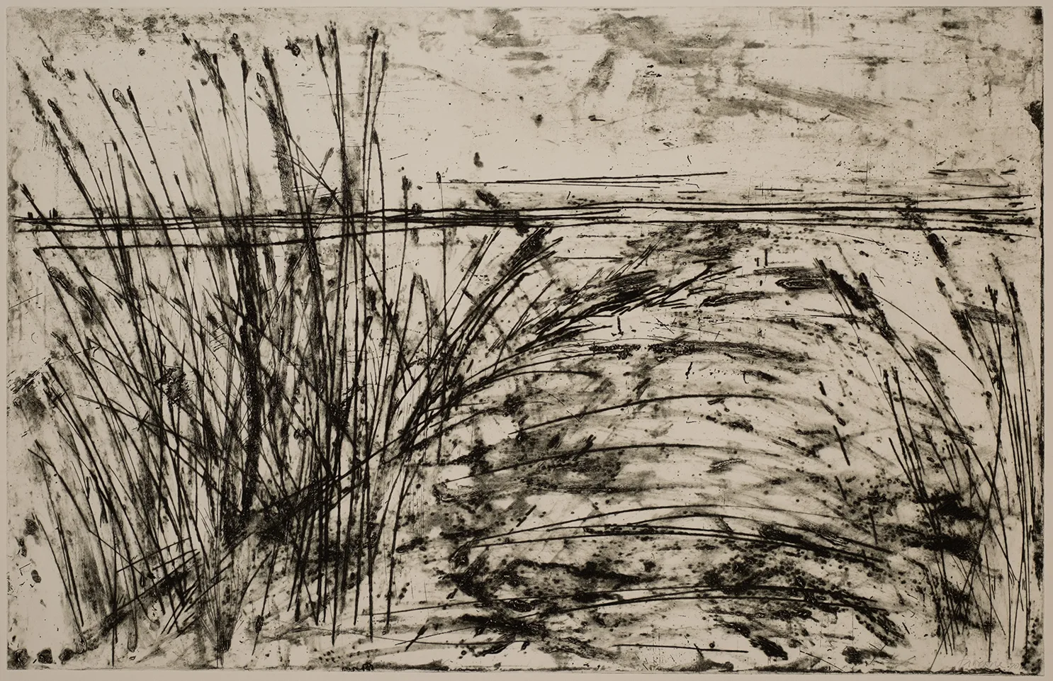 Grass, DC.3.2