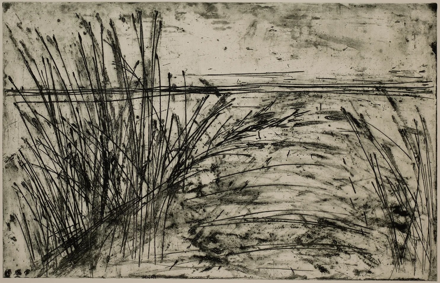Grass, DC.3.3