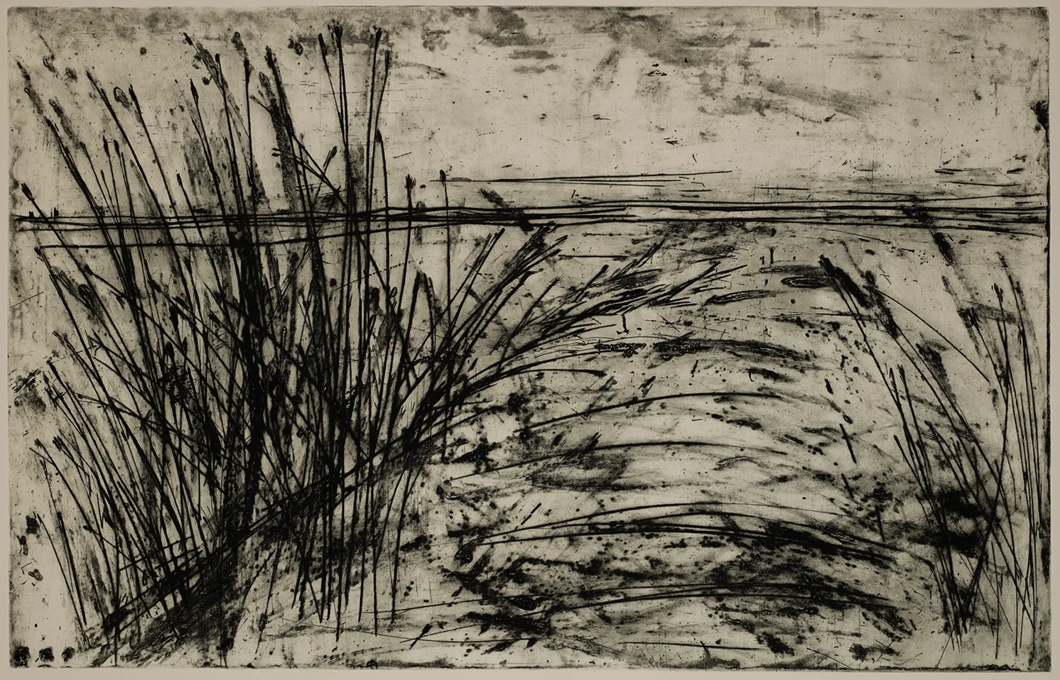 Grass, DC.3.4