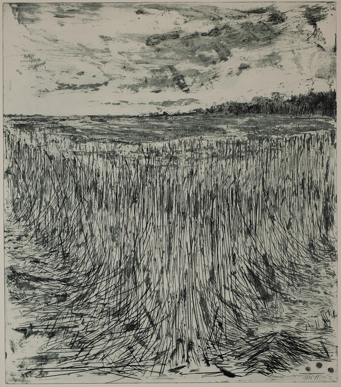 Dye, standing grain, DC.30.1