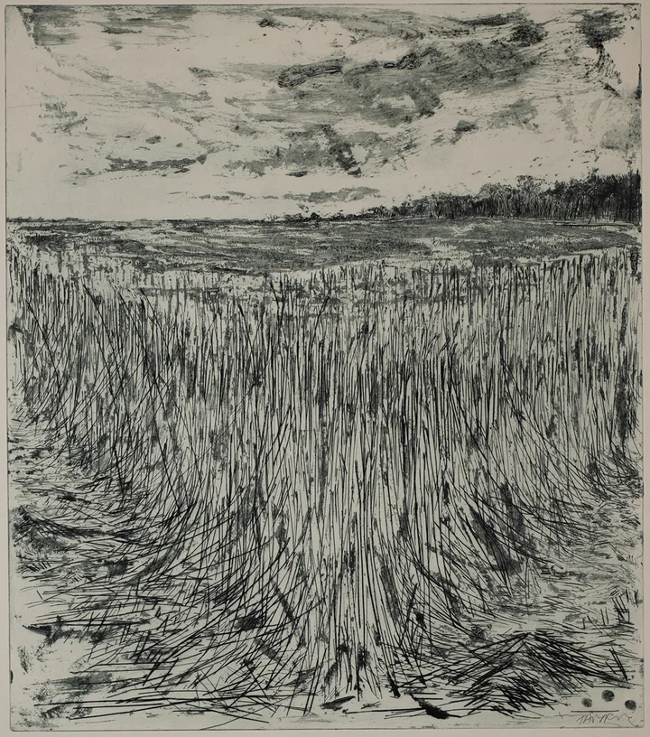 Dye, standing grain