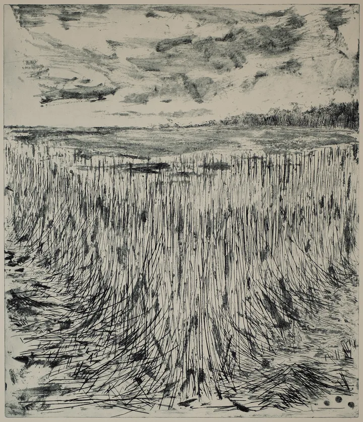 Dye, standing grain — impression 2
