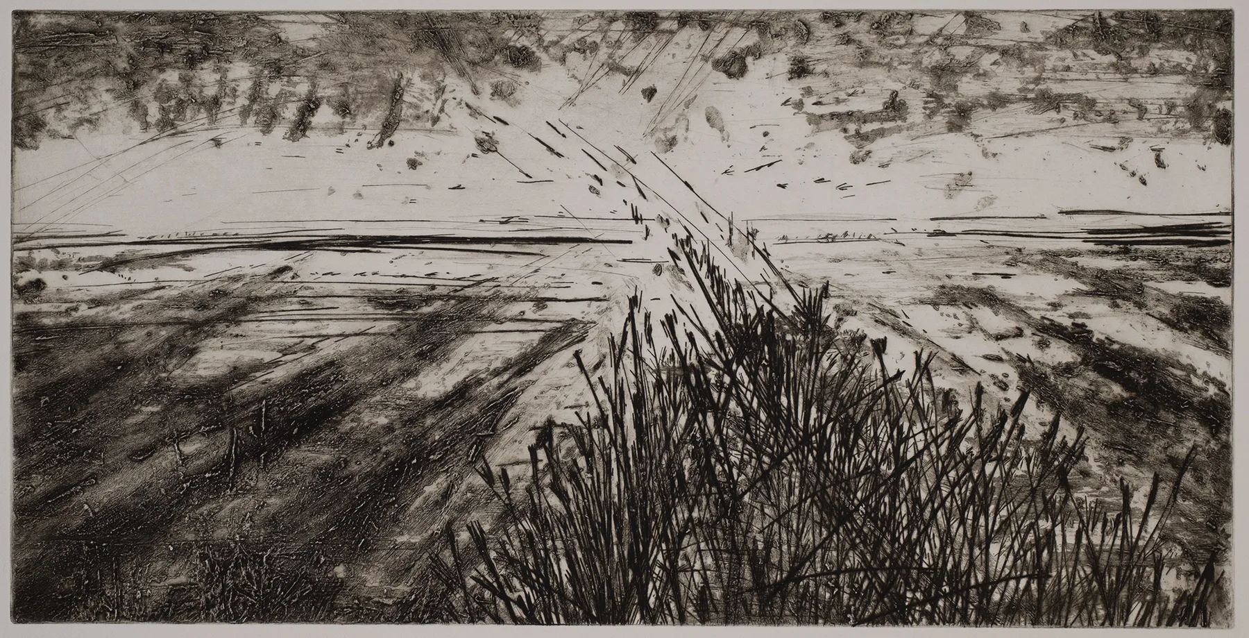 Vista with grass, DC.37.1