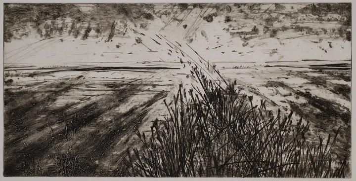 Vista with grass