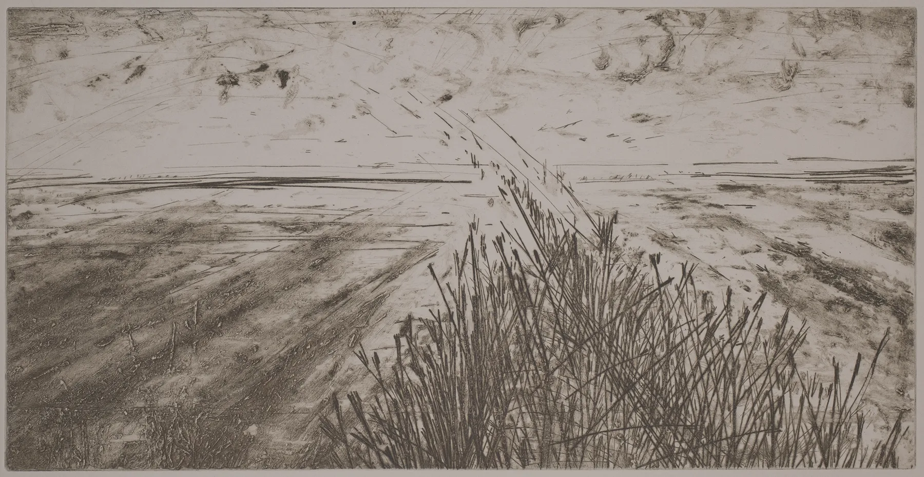 Vista with grass, DC.37.2