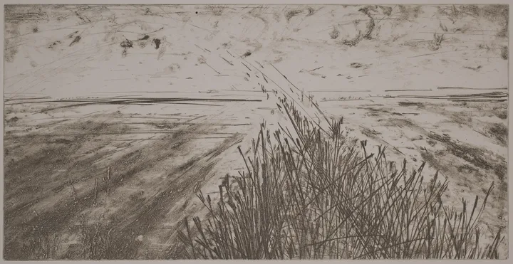 Vista with grass — impression 2