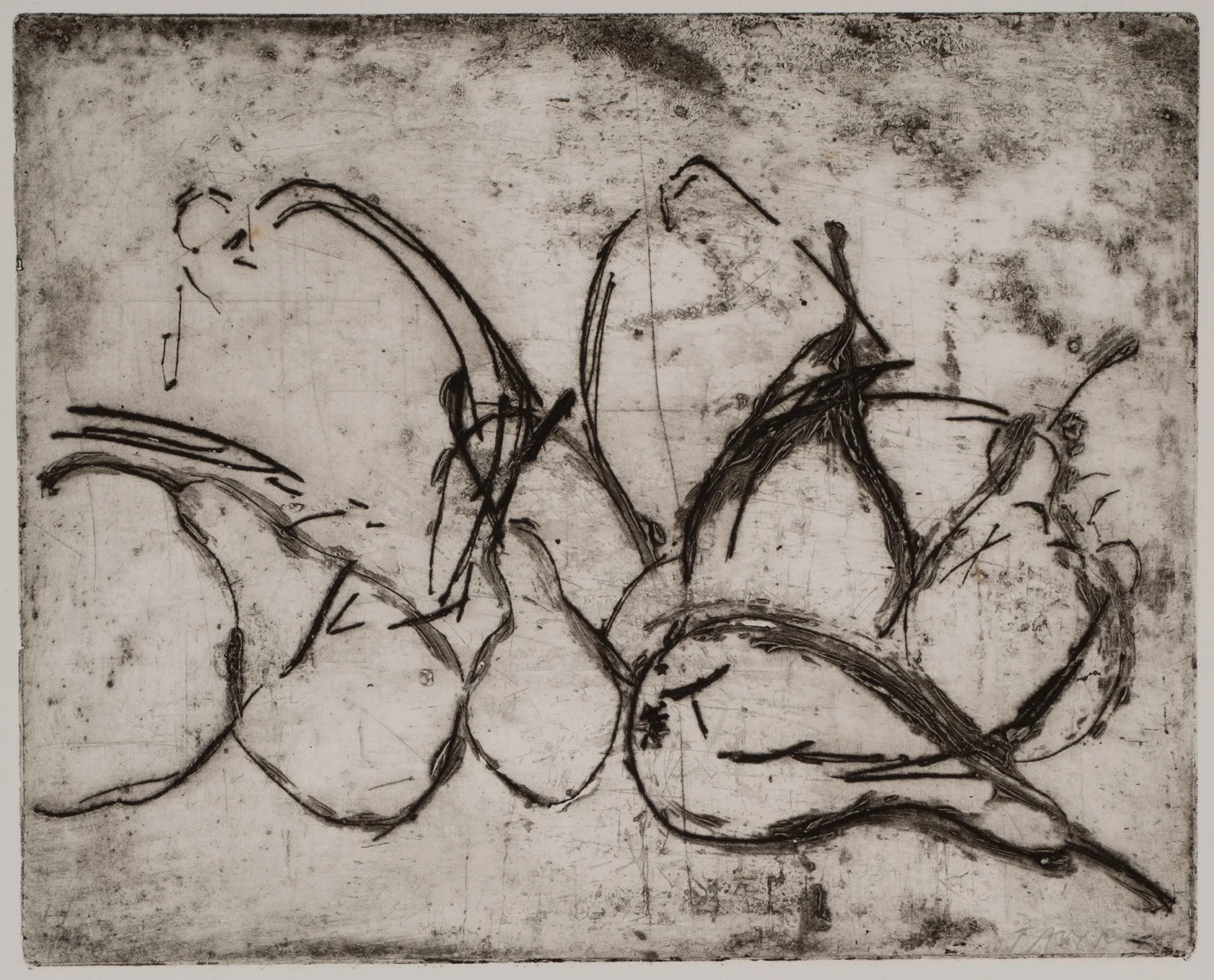 Pears and quinces, DC.61.3