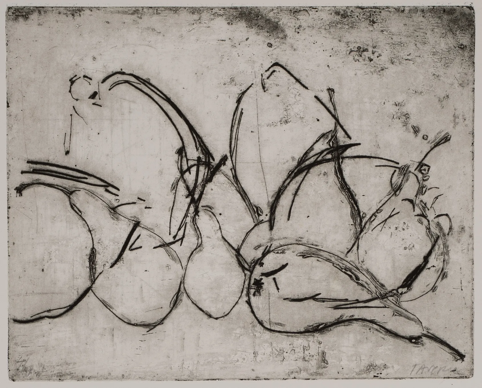 Pears and quinces, DC.61.4