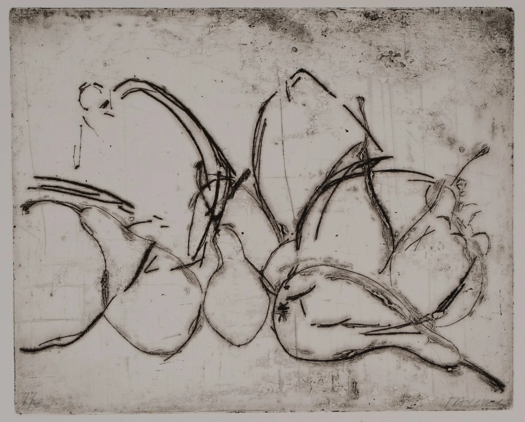 Pears and quinces, DC.61.5