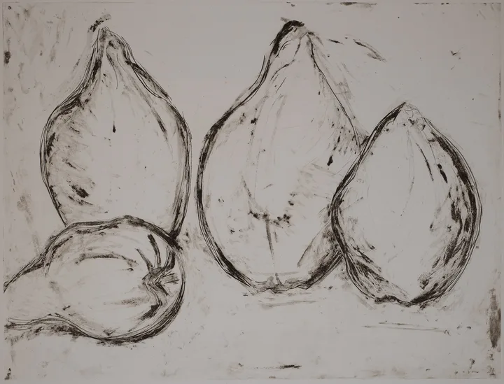 Quince, large, DC.7.4