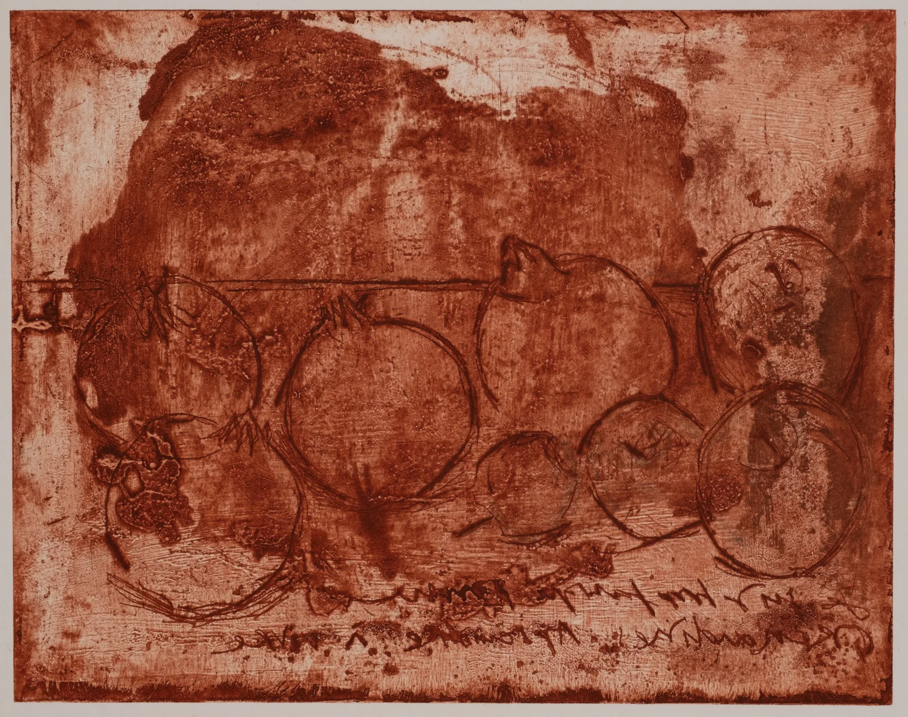 Pomegranate, DC.70.1