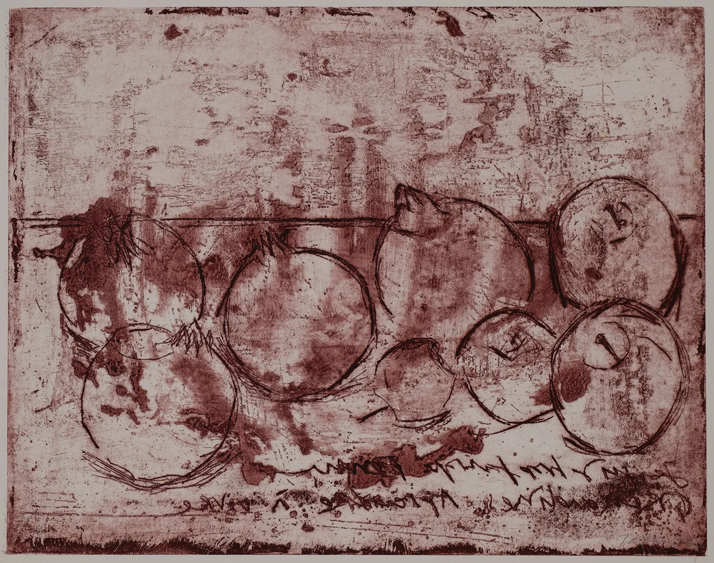 Pomegranate, DC.70.3