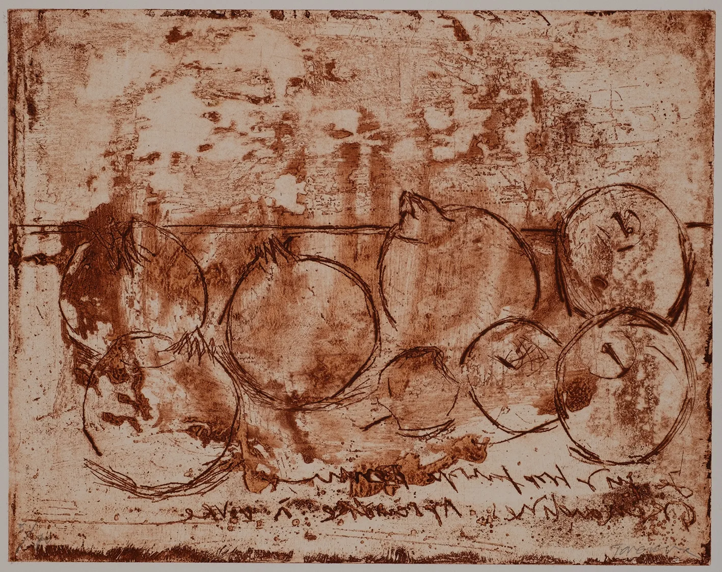 Pomegranate, DC.70.5