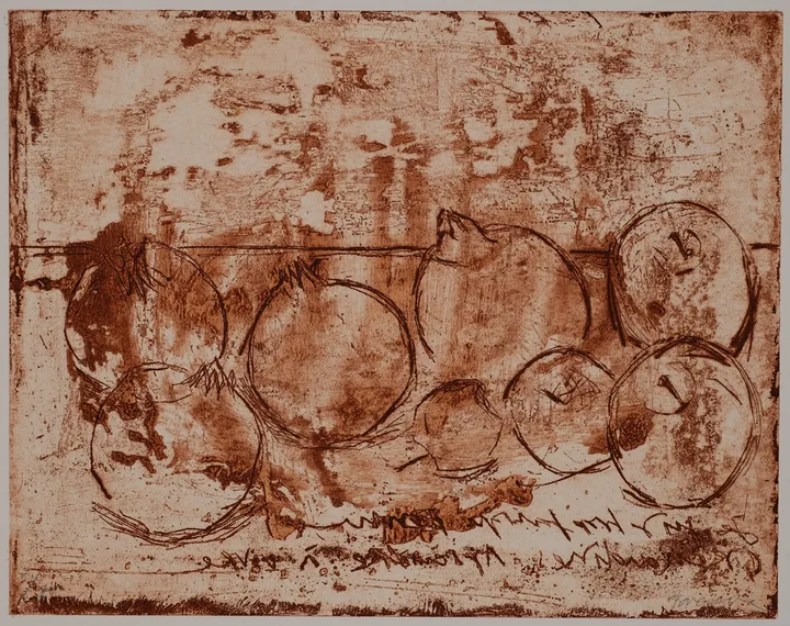 Pomegranate — impression 5