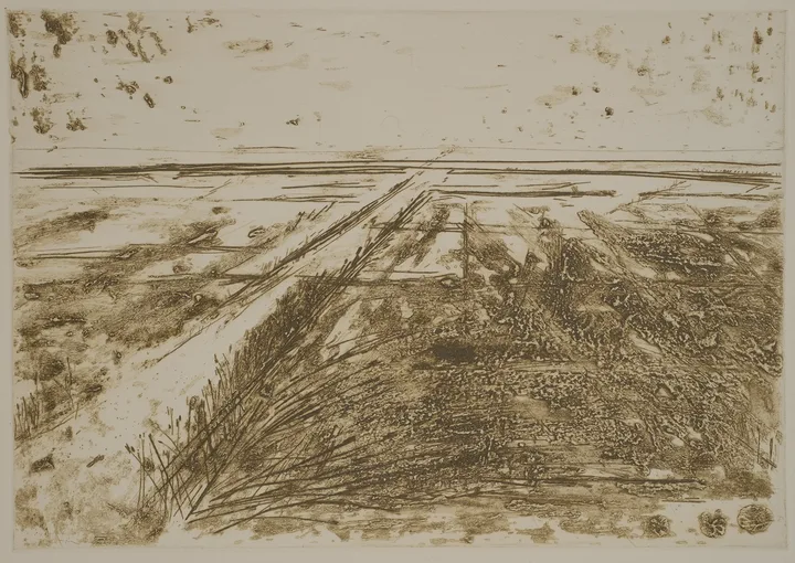 Salt marsh with path to the left — impression 10