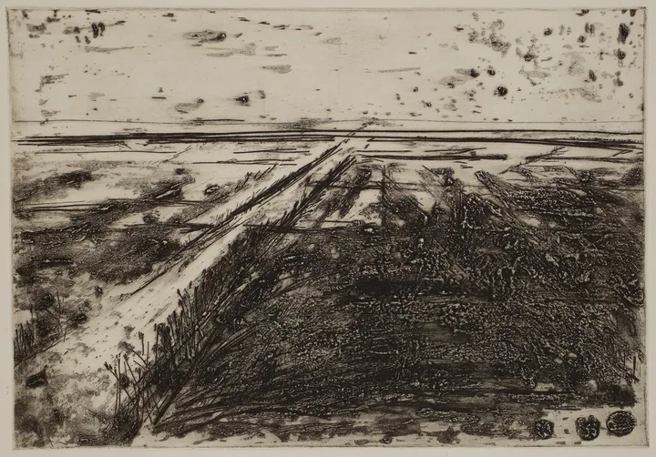 Salt marsh with path to the left — impression 11