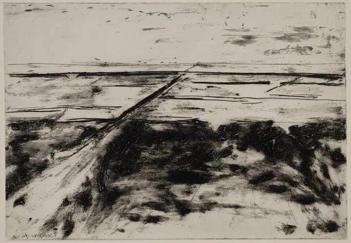 Salt marsh with path to the left — impression 12