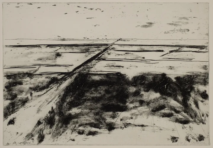 Salt marsh with path to the left — impression 13