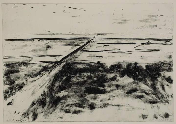 Salt marsh with path to the left — impression 15