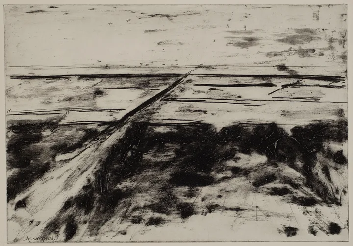 Salt marsh with path to the left — impression 16