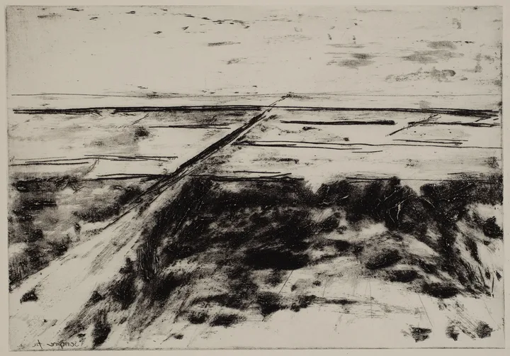 Salt marsh with path to the left — impression 18