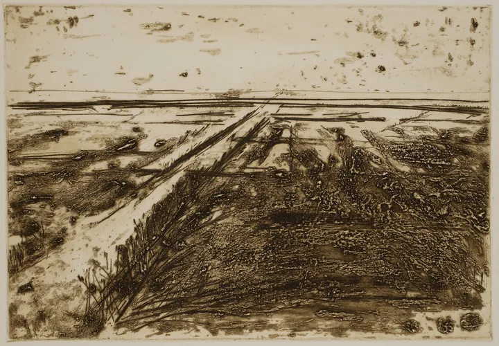 Salt marsh with path to the left — impression 6