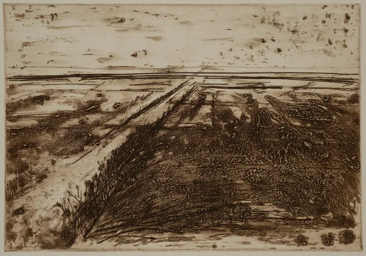 Salt marsh with path to the left — impression 7