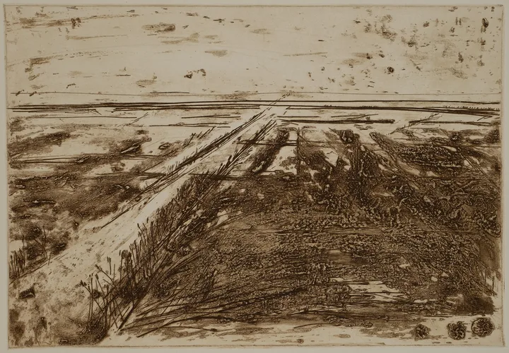 Salt marsh with path to the left — impression 9
