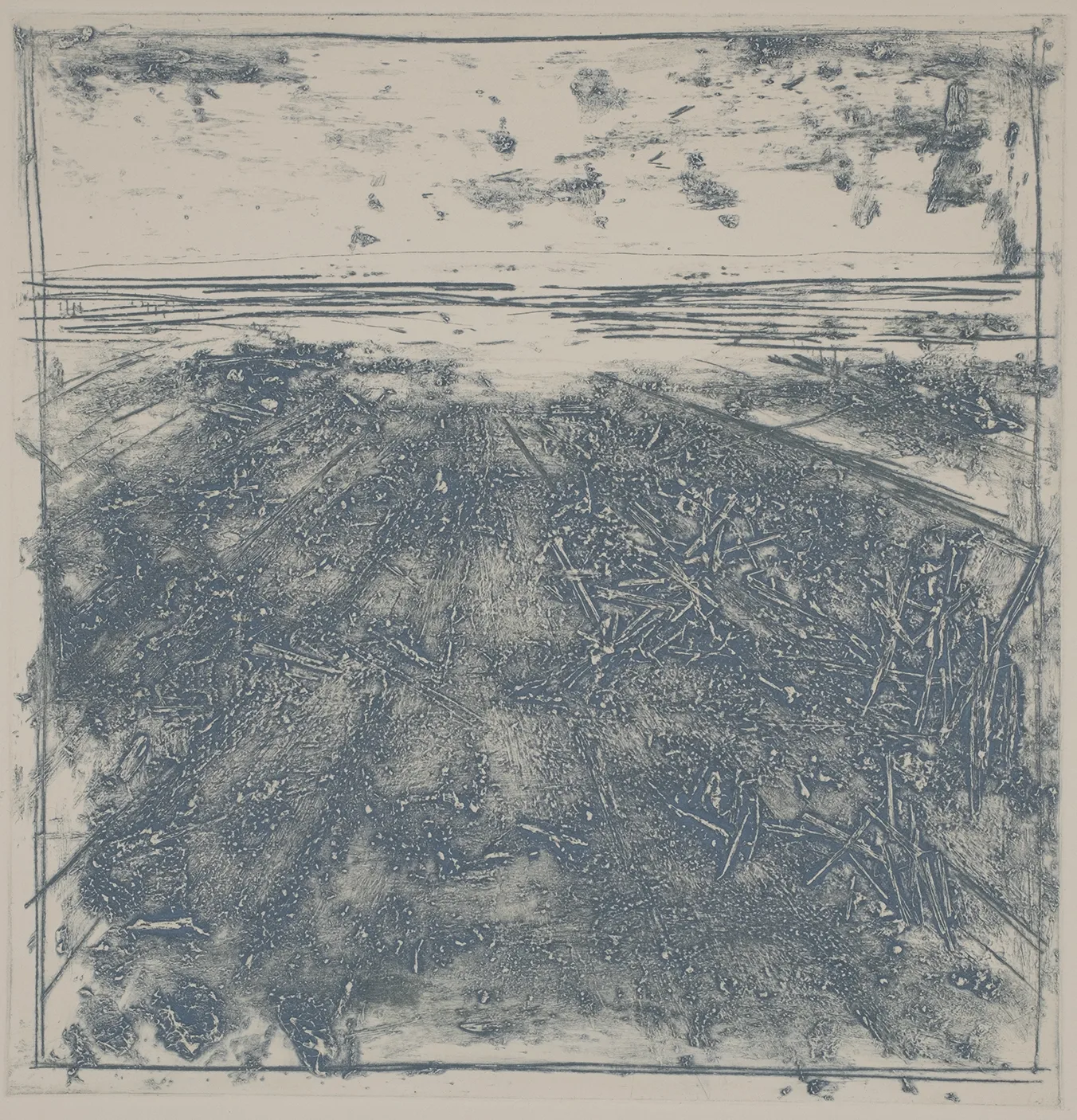 Straw in the salt marsh, DC.87.1