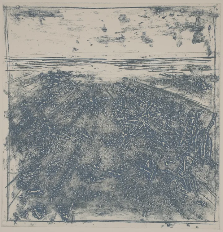 Straw in the salt marsh, DC.87.1