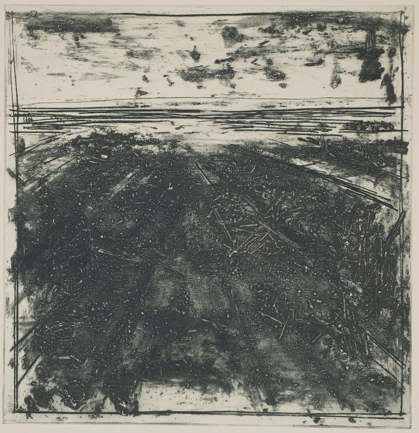 Straw in the salt marsh, DC.87.12