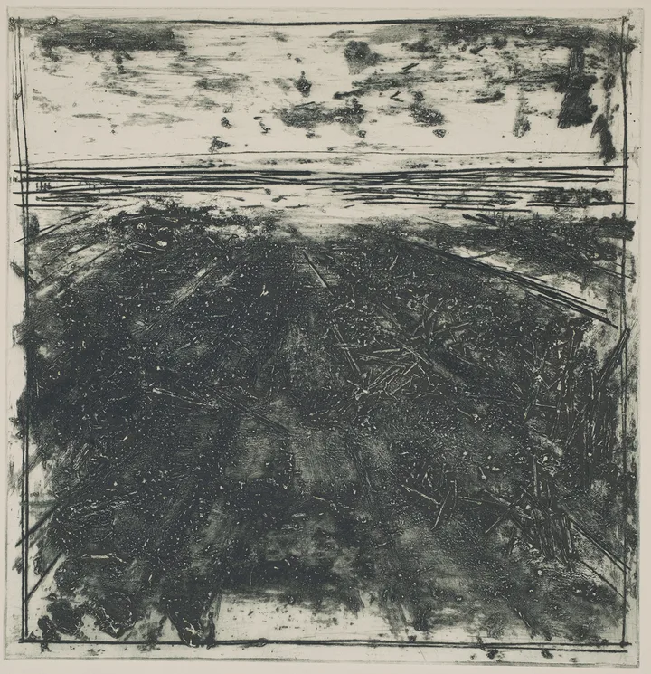 Straw in the salt marsh, DC.87.12