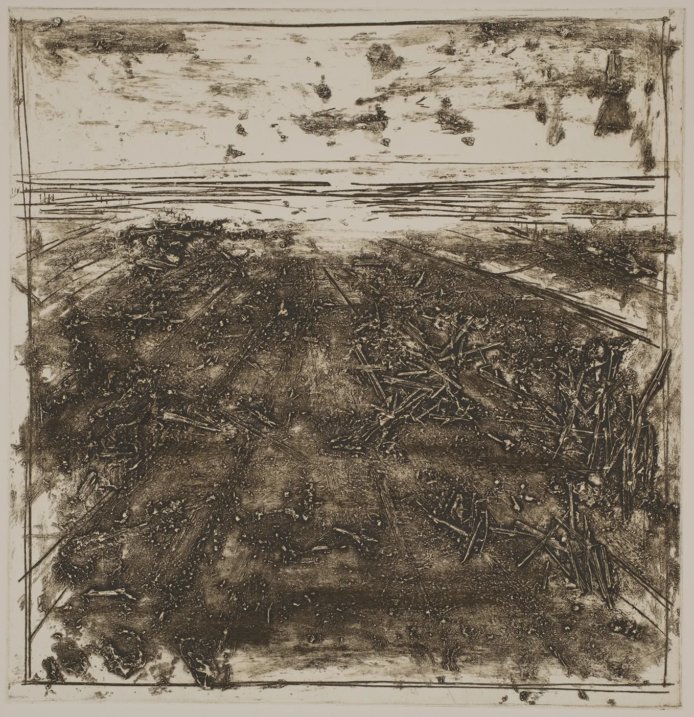 Straw in the salt marsh, DC.87.3