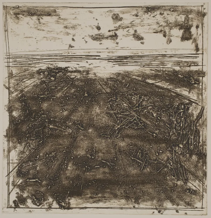 Straw in the salt marsh, DC.87.3