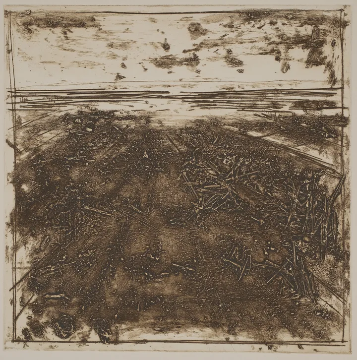 Straw in the salt marsh, DC.87.5