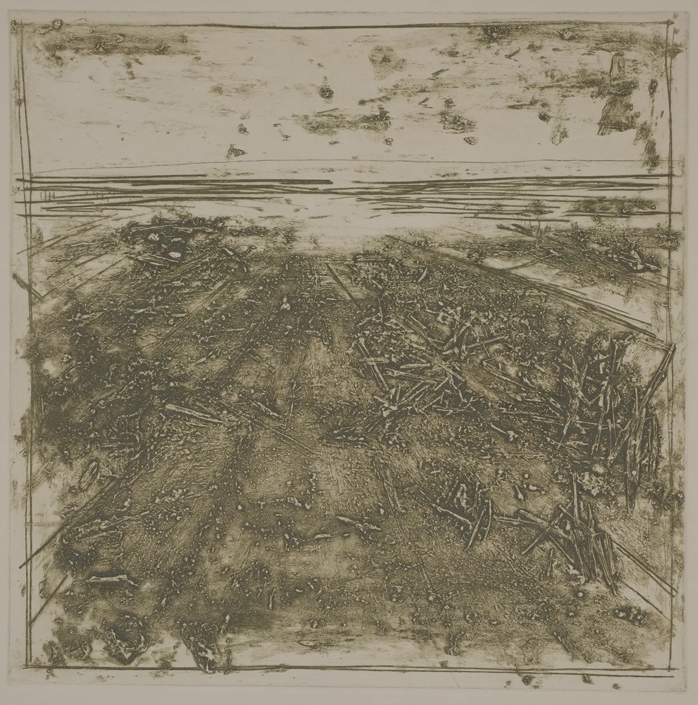 Straw in the salt marsh, DC.87.7