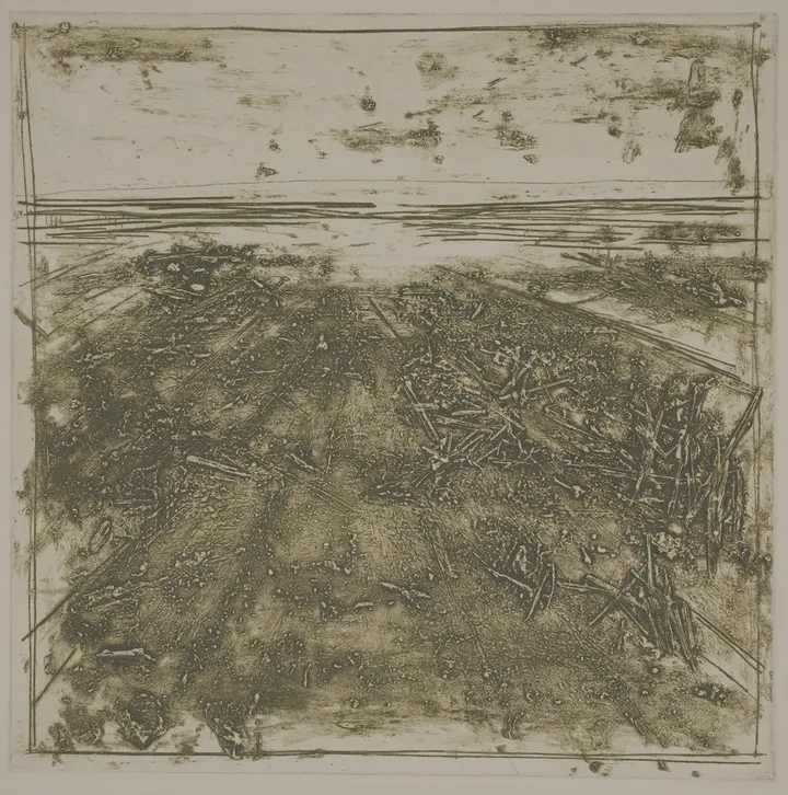 Straw in the salt marsh, DC.87.7