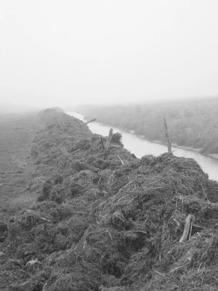 Dike, mist