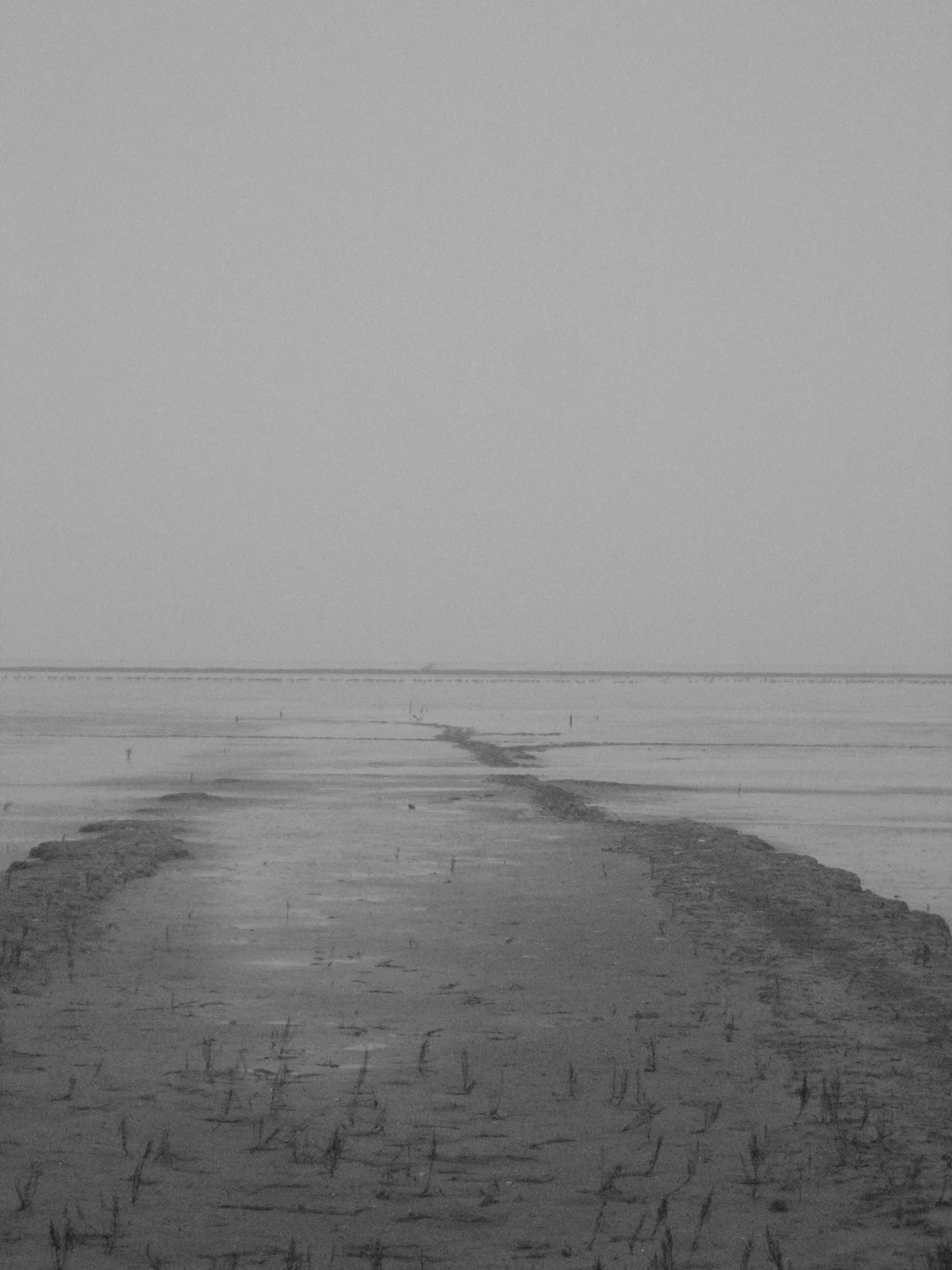 Wad, light, DG.133.1